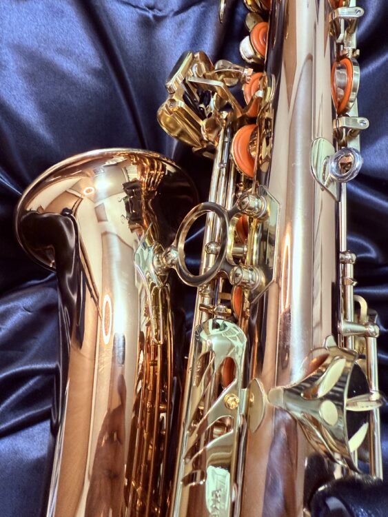 タンポ状態も良好